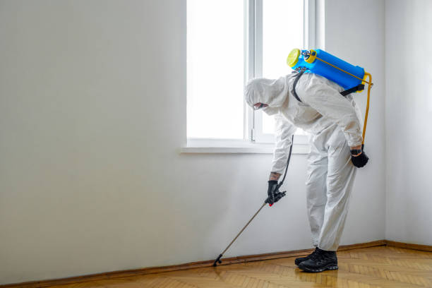 Best Wasp Removal Services  in Waynesburg, PA