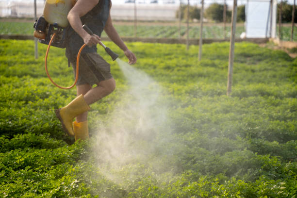 Best Best Pest Control Companies  in Waynesburg, PA