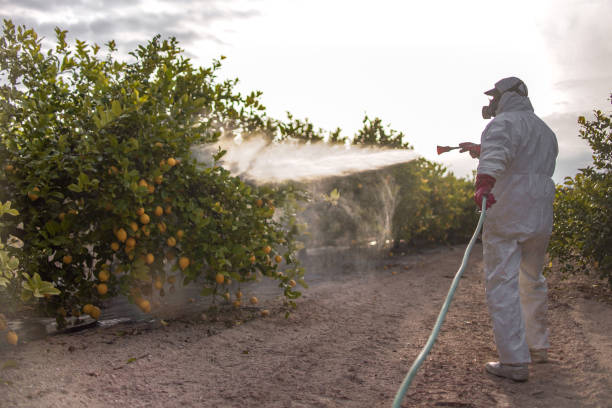 Best Local Pest Control Services  in Waynesburg, PA