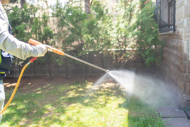 Best Flea Control Services  in Waynesburg, PA
