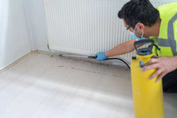 Wasp Removal Services in Waynesburg, PA